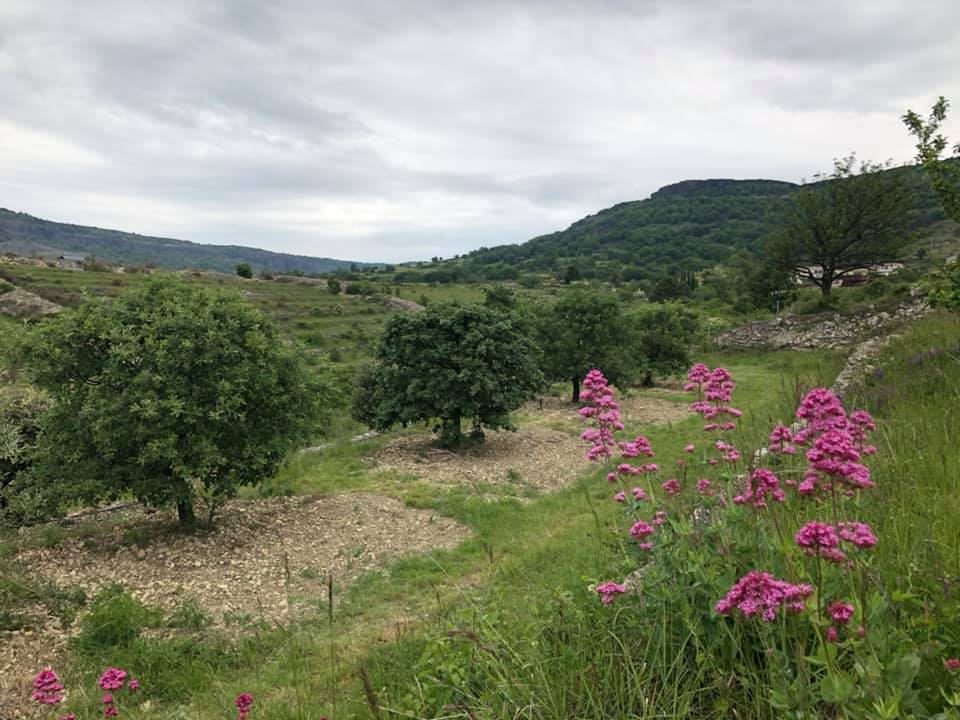 Passer de la cueillette à une professionnalisation des acteurs de la filière truffe en Ardèche