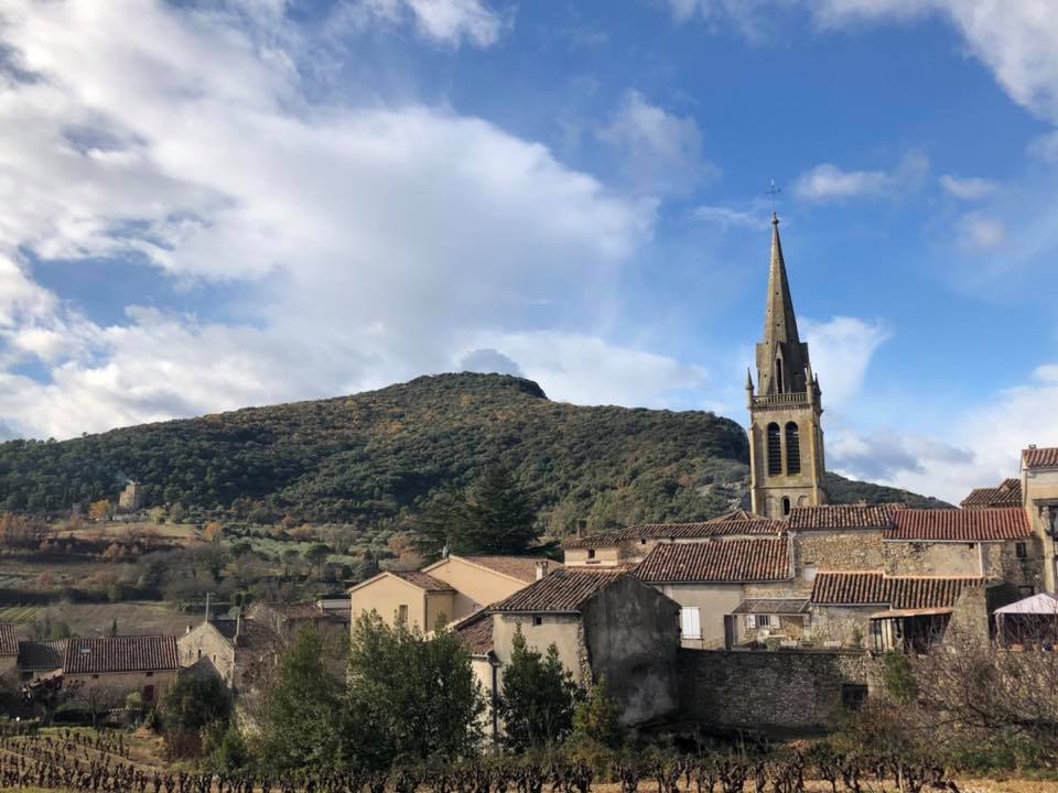 Réunion de travail avec le Syndicat des Oléiculteurs de l’Ardèche Méridionale à St-Sauveur-de-Cruzières