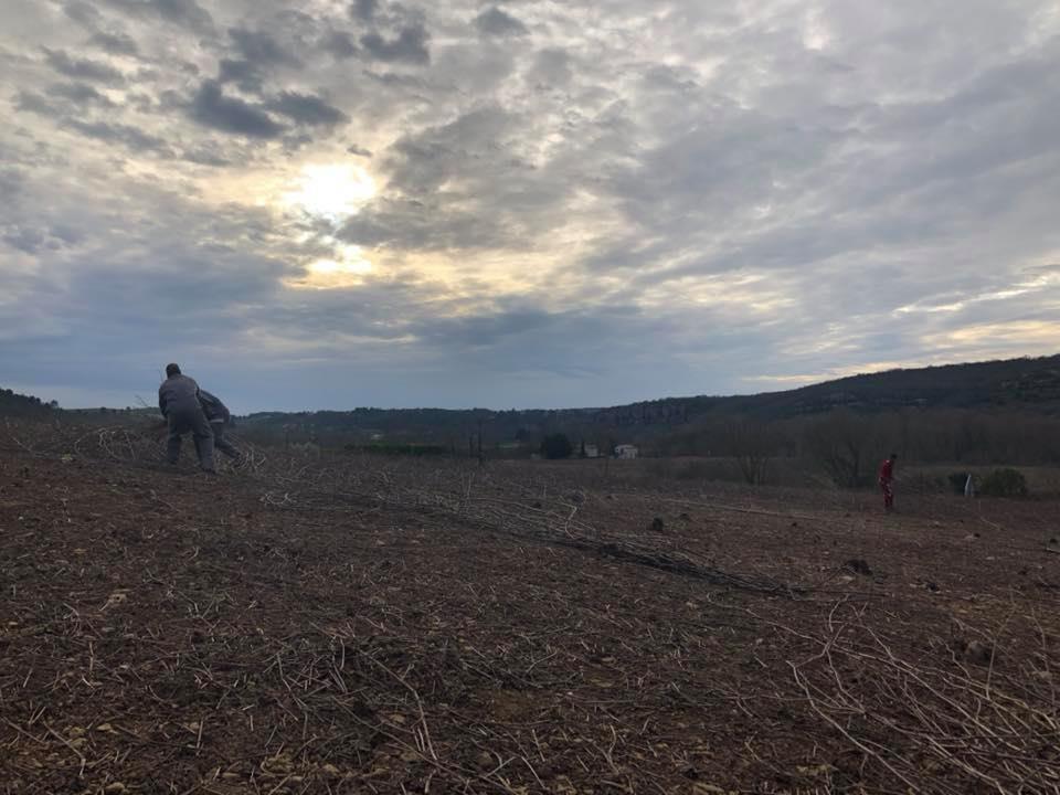 Sur le terrain à St Maurice d’Ardèche pour échanger sur la filière pépinière viticole