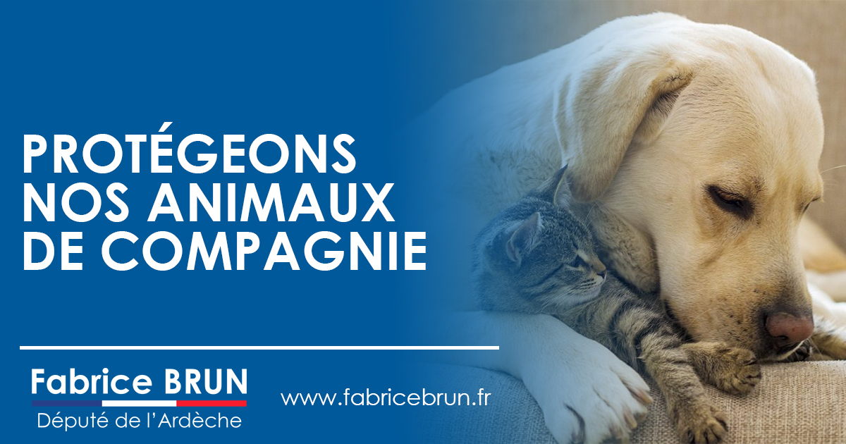 PROTEGEONS NOS ANIMAUX DE COMPAGNIE.