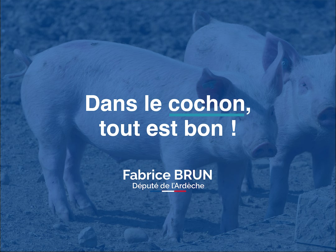 Dans le cochon, tout est bon !