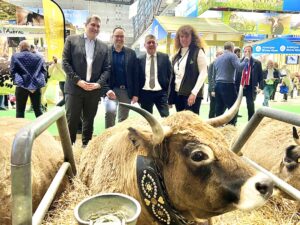 Isette, la vache ardéchoise reine du Salon de l'Agriculture