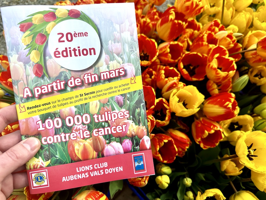Opération 120 000 Tulipes contre le Cancer