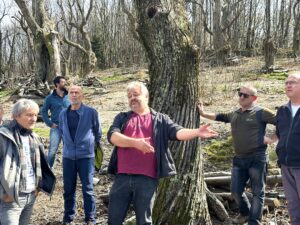 Une belle journée sous le signe de notre emblématique châtaigne