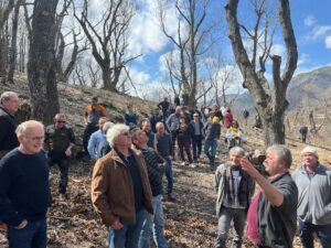 Une belle journée sous le signe de notre emblématique châtaigne