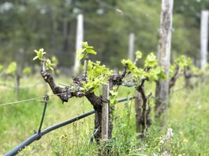 Stocker l’eau l’hiver pour l’utiliser l’été