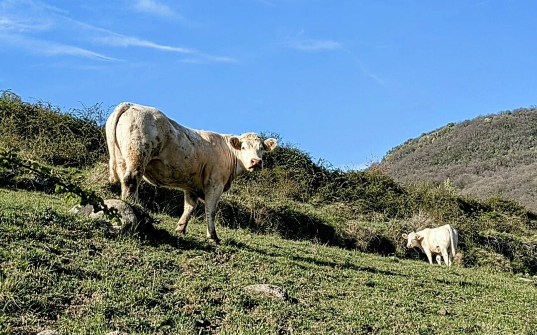Joyeux anniversaire à l’agriculture solidaire et familiale