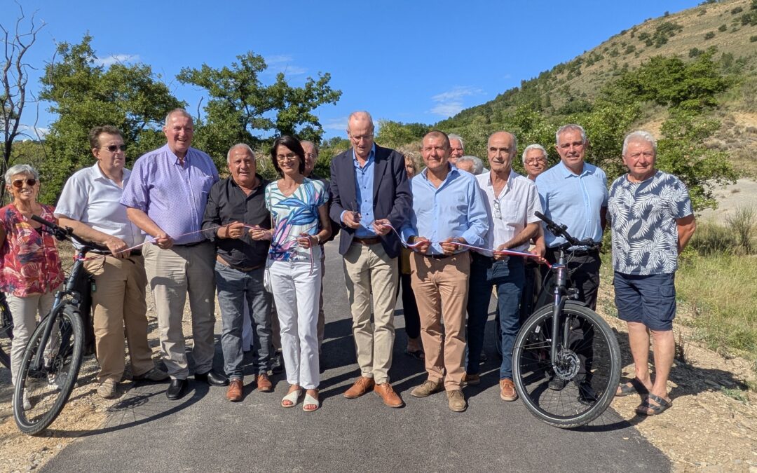 En route vers la mobilité décarbonatée