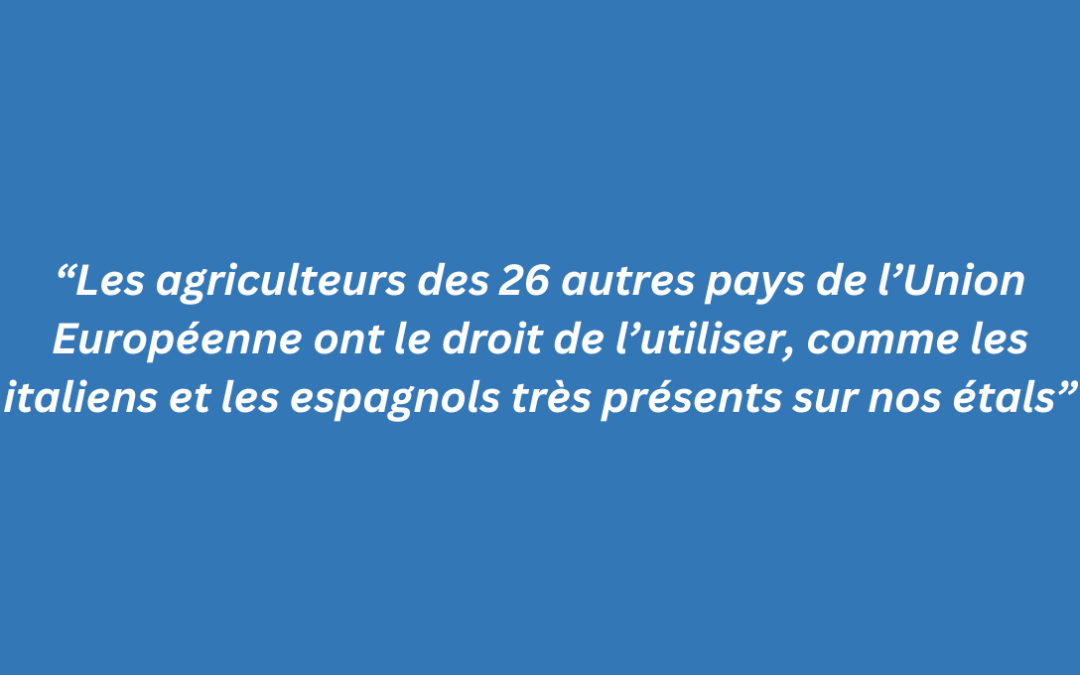 Ce débat qui divise la France est avant tout un sujet européen