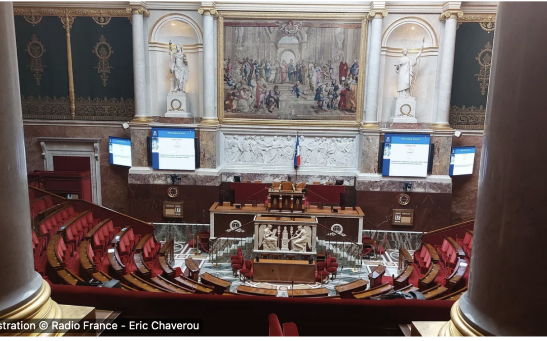 Crise politique : ma réaction sur la radio Ici Bleu Drôme Ardèche