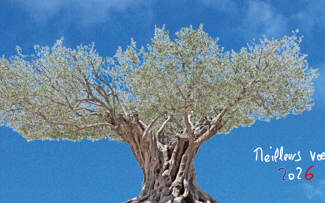 Meilleurs voeux 2026