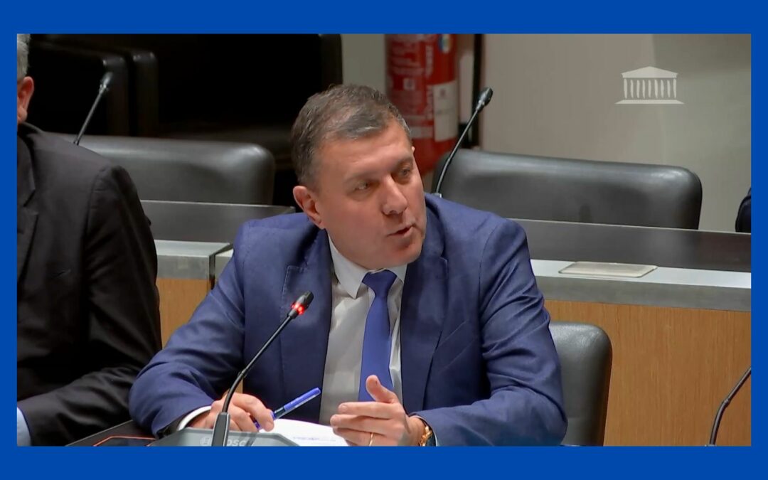 Permis de conduire = permis de vivre #2