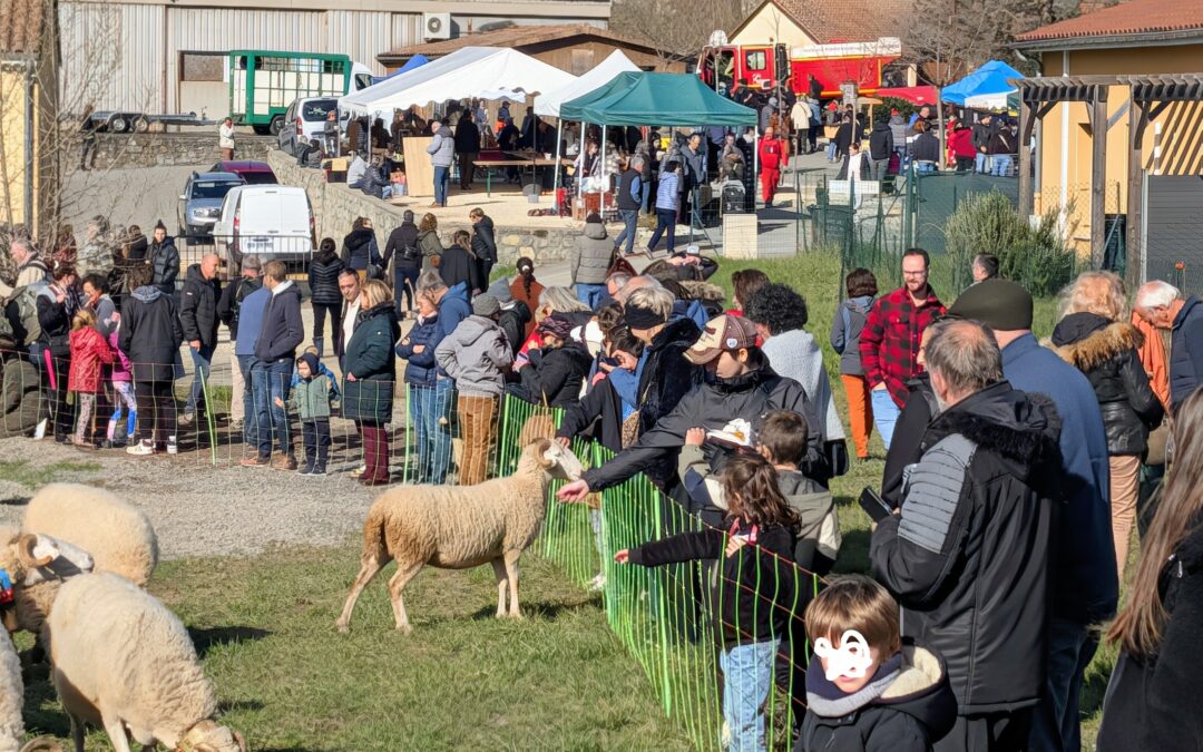Fête de la transhumance à Vesseaux