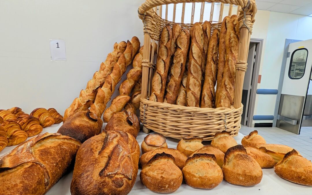 Bravo à nos jeunes boulangers et vendeurs ils ont du talent !
